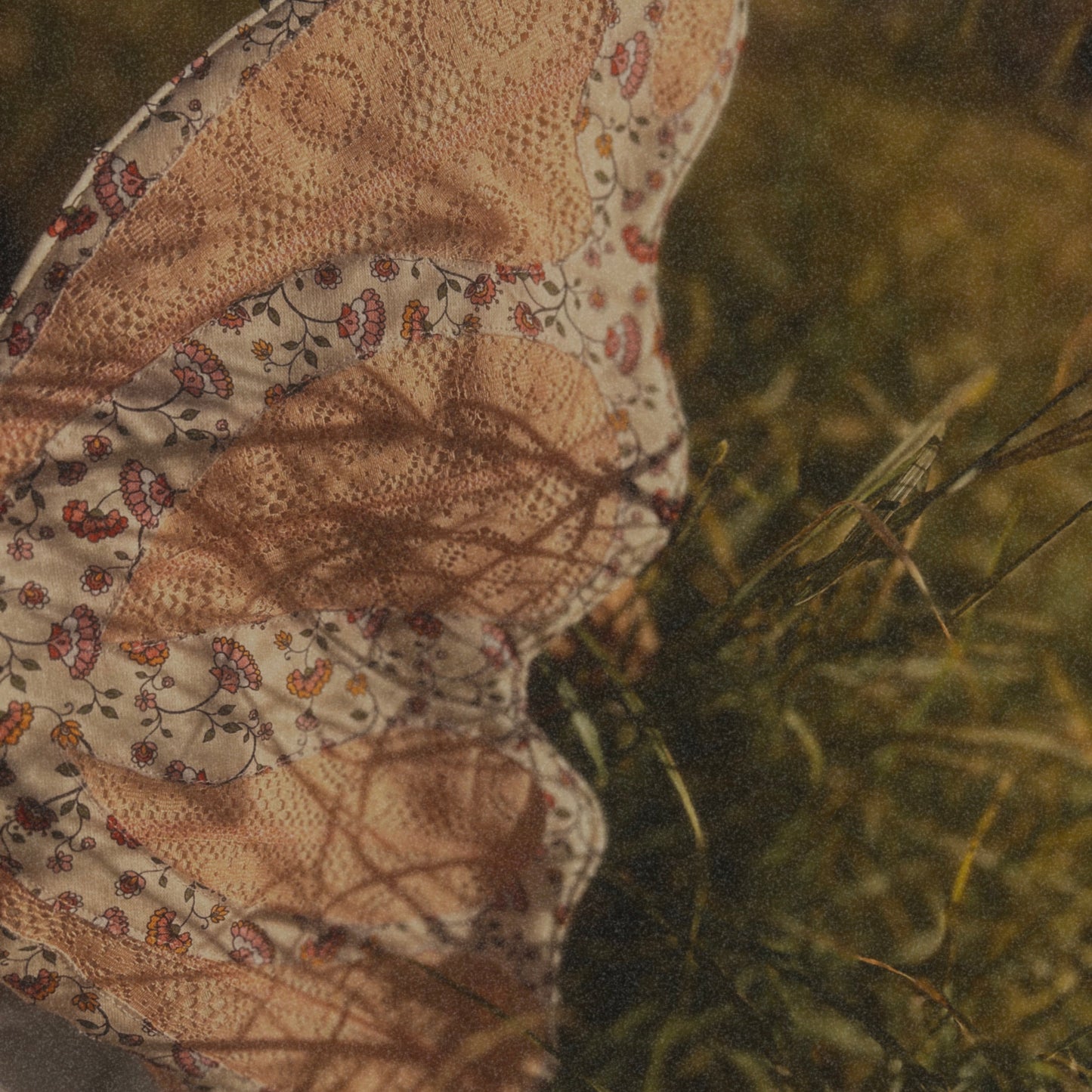 Whimsical Fairy wings