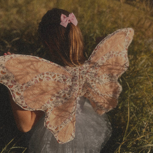 Whimsical Fairy wings
