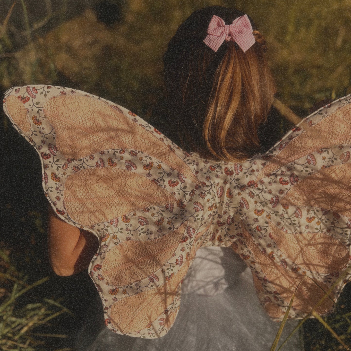 Whimsical Fairy wings